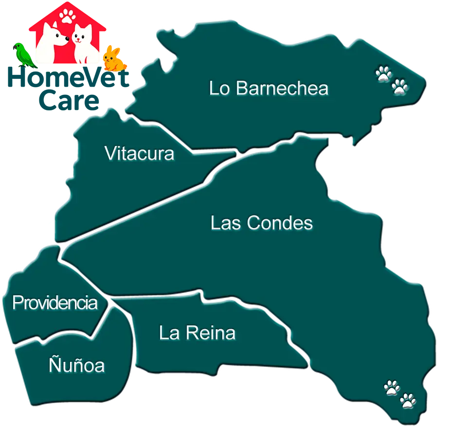 Cobertura Veterinaria